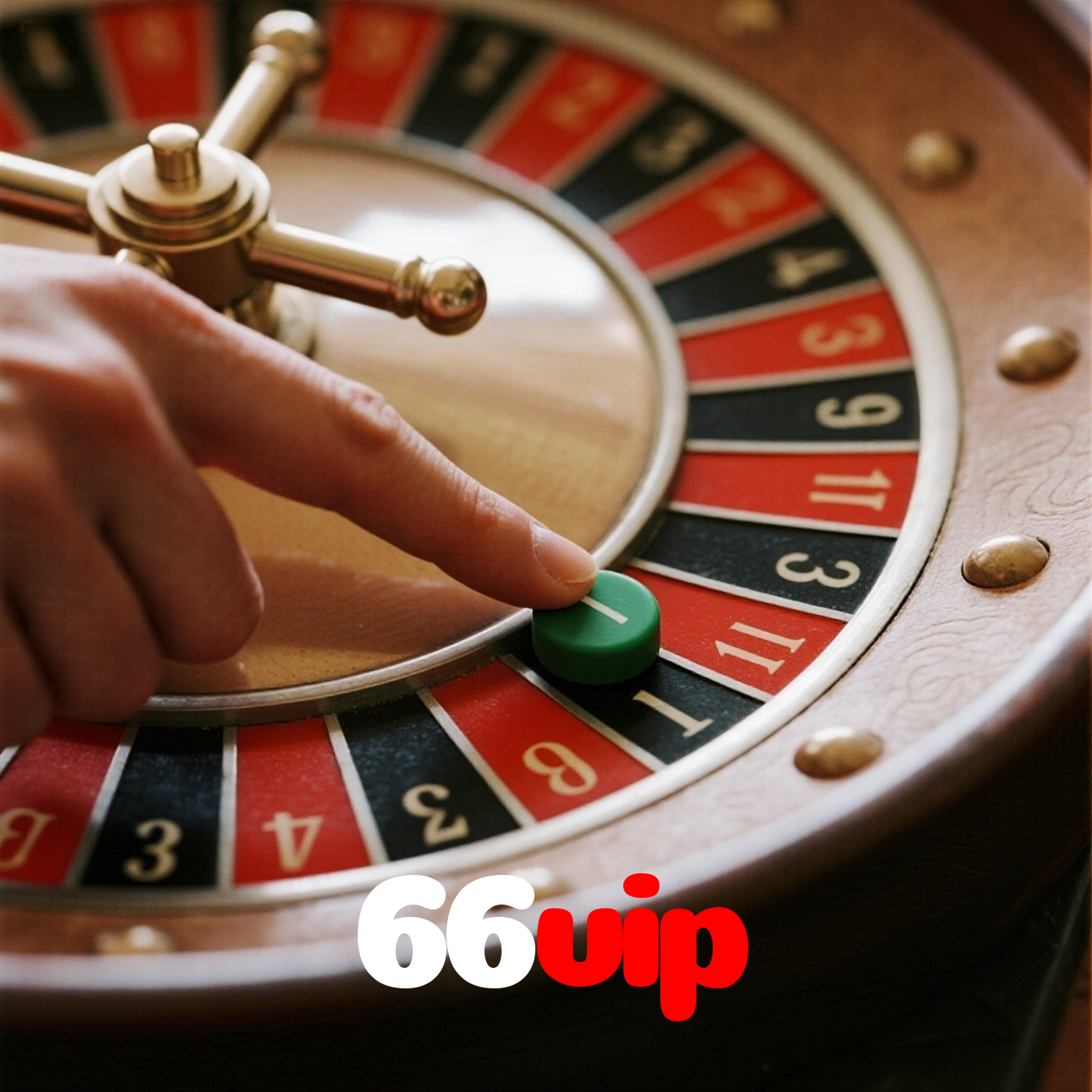 66vip