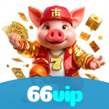 66vip visual