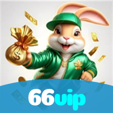 66vip visual