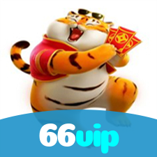 66vip visual