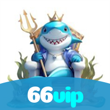 66vip visual
