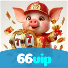 66vip visual