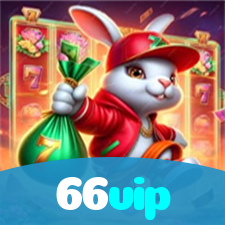 66vip visual