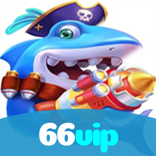 66vip visual