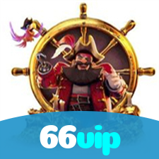 66vip visual
