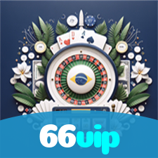 66vip visual