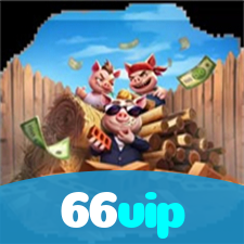 66vip visual