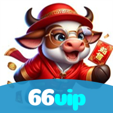 66vip visual