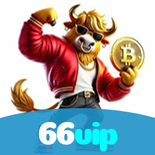66vip visual