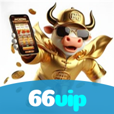 66vip visual