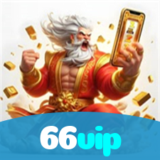 66vip visual