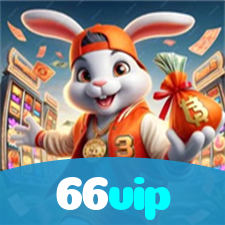 66vip visual