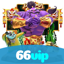 66vip visual
