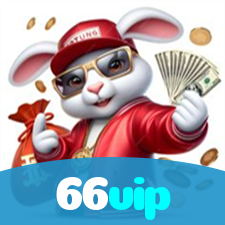 66vip visual