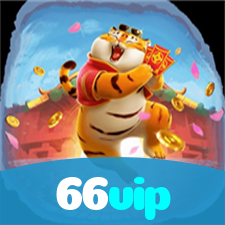 66vip visual