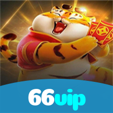 66vip visual
