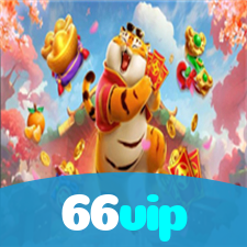 66vip visual