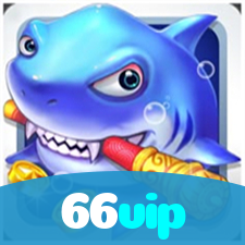 66vip visual