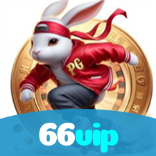 66vip visual