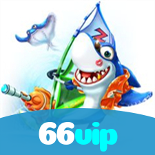 66vip visual