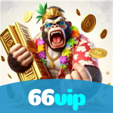 66vip visual
