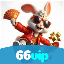 66vip visual