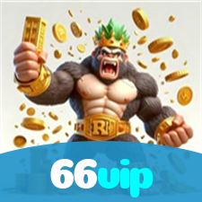 66vip visual