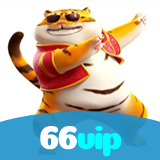 66vip visual