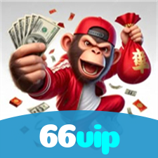 66vip visual
