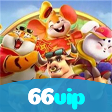 66vip visual