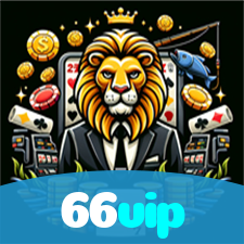 66vip visual