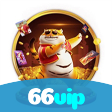 66vip visual