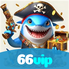 66vip visual