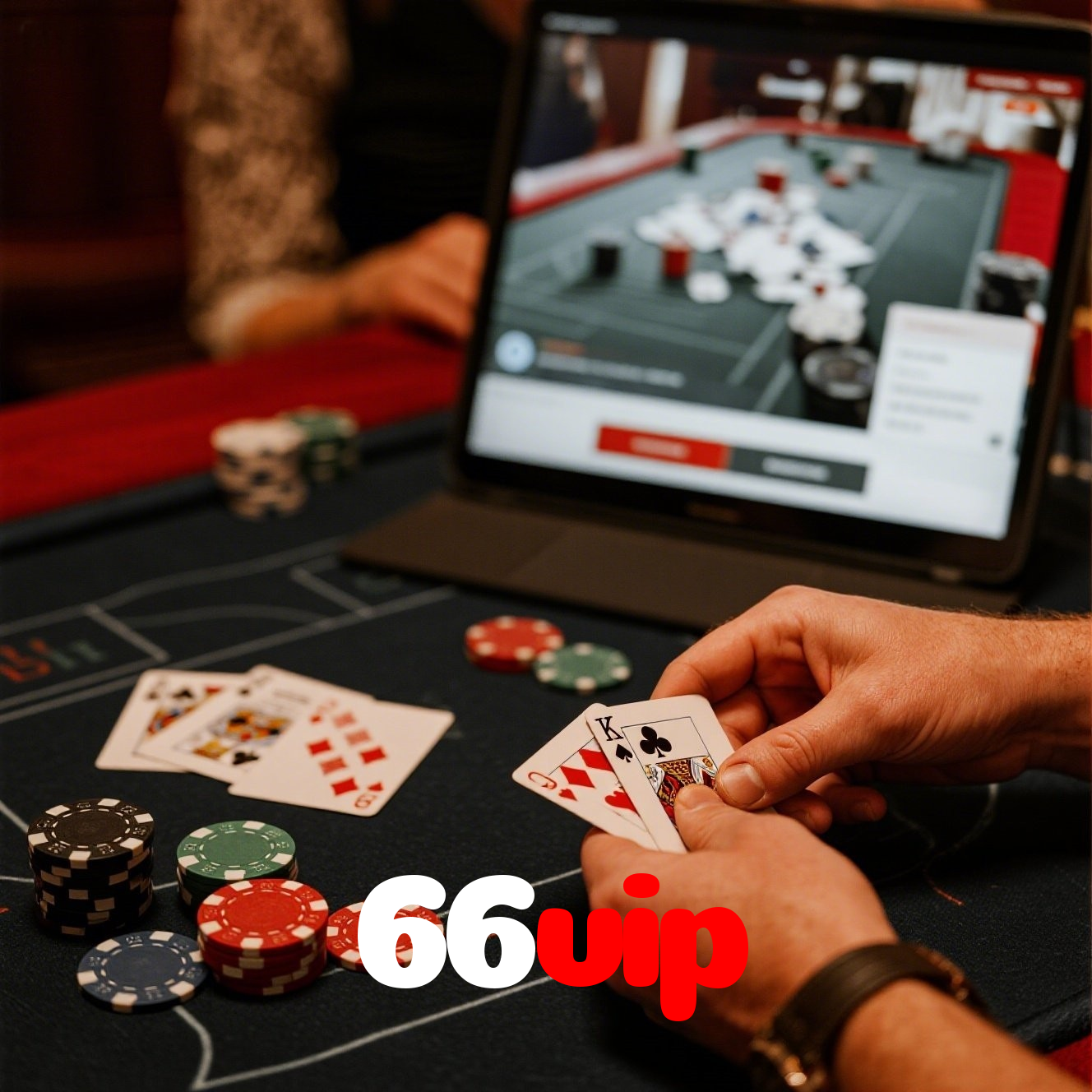 66vip visual