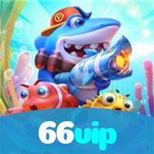 66vip visual