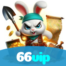 66vip visual