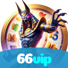 66vip visual