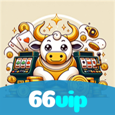 66vip visual