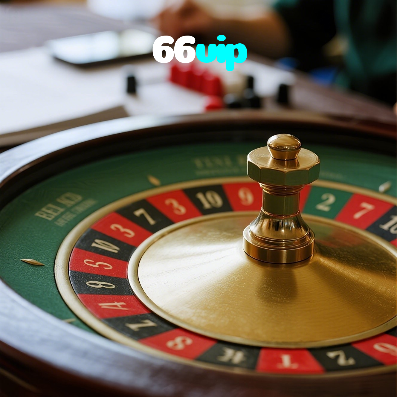 66vip visual