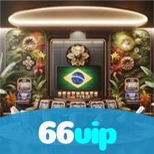 66vip visual