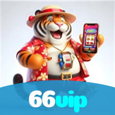 66vip visual