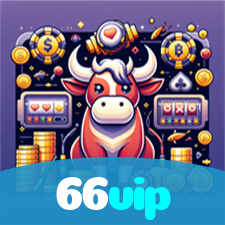 66vip visual
