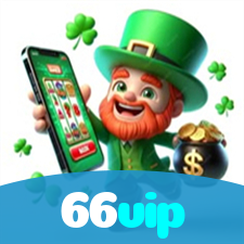 66vip visual