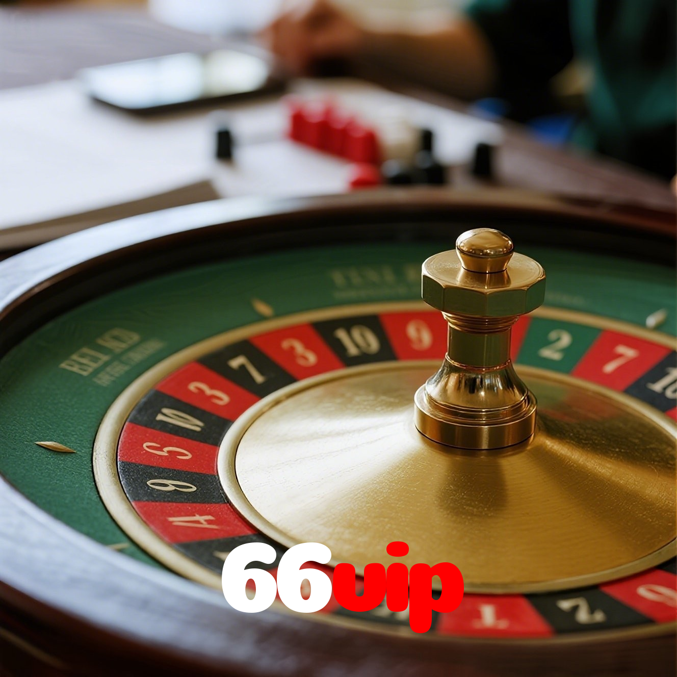 66vip visual