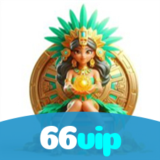 66vip visual
