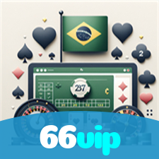 66vip visual
