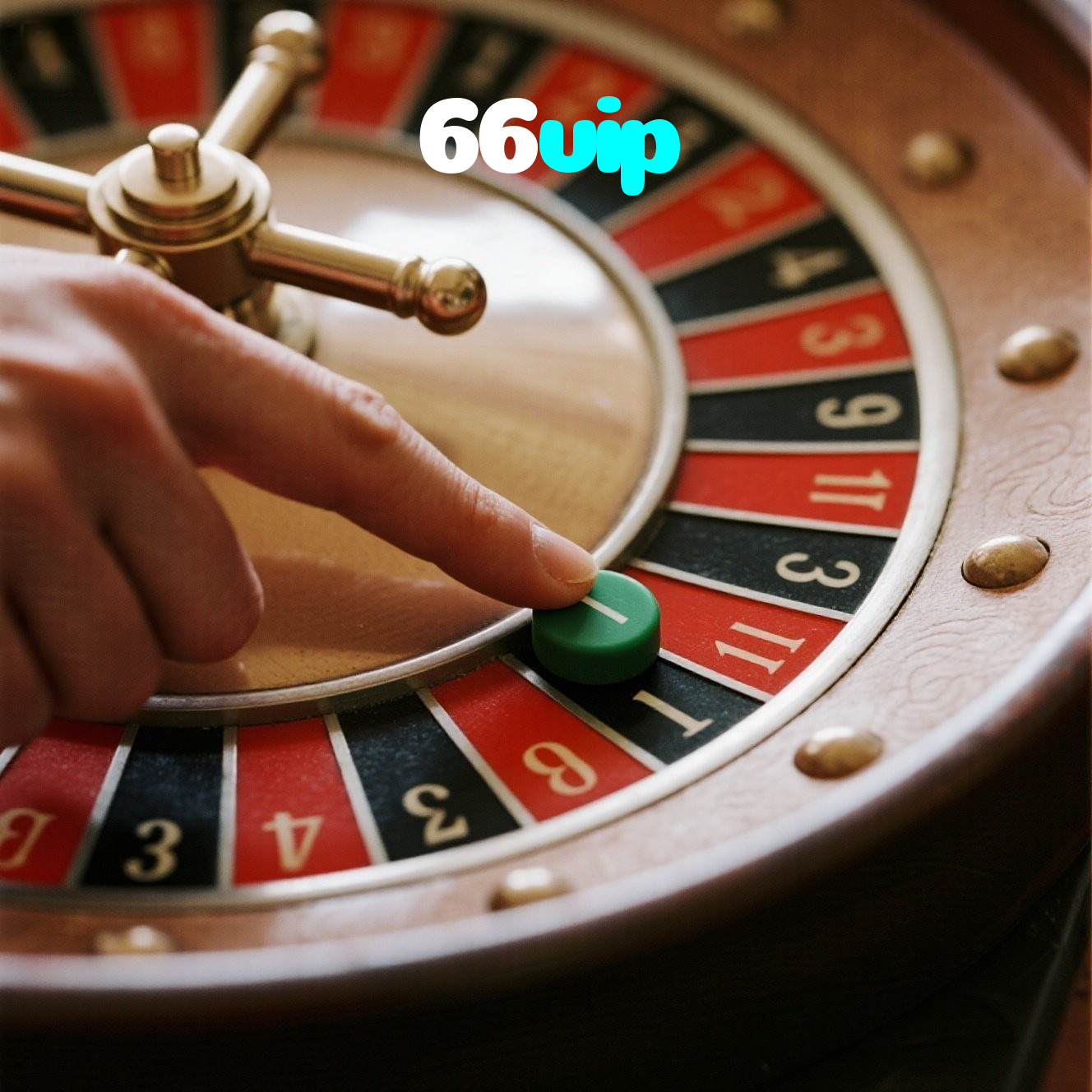 66vip visual